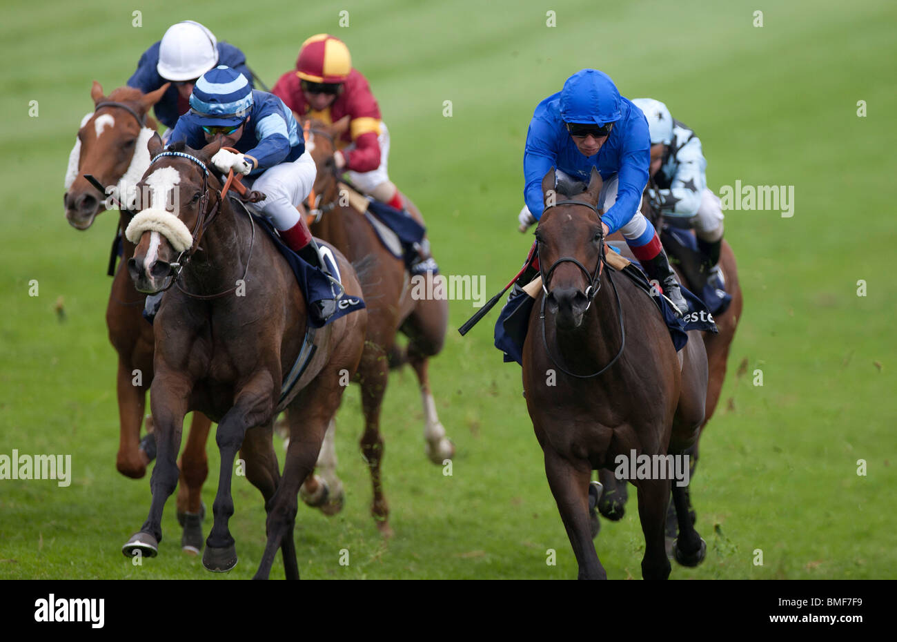 Epsom Downs UK Derby 2010...Fantino Frankie Dettori in blu, destra, vincendo una gara precedente alla riunione Foto Stock