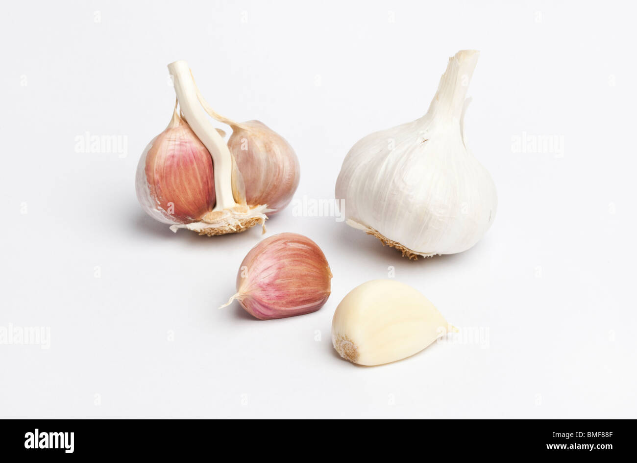 Bulbo aglio e chiodi di garofano Foto Stock