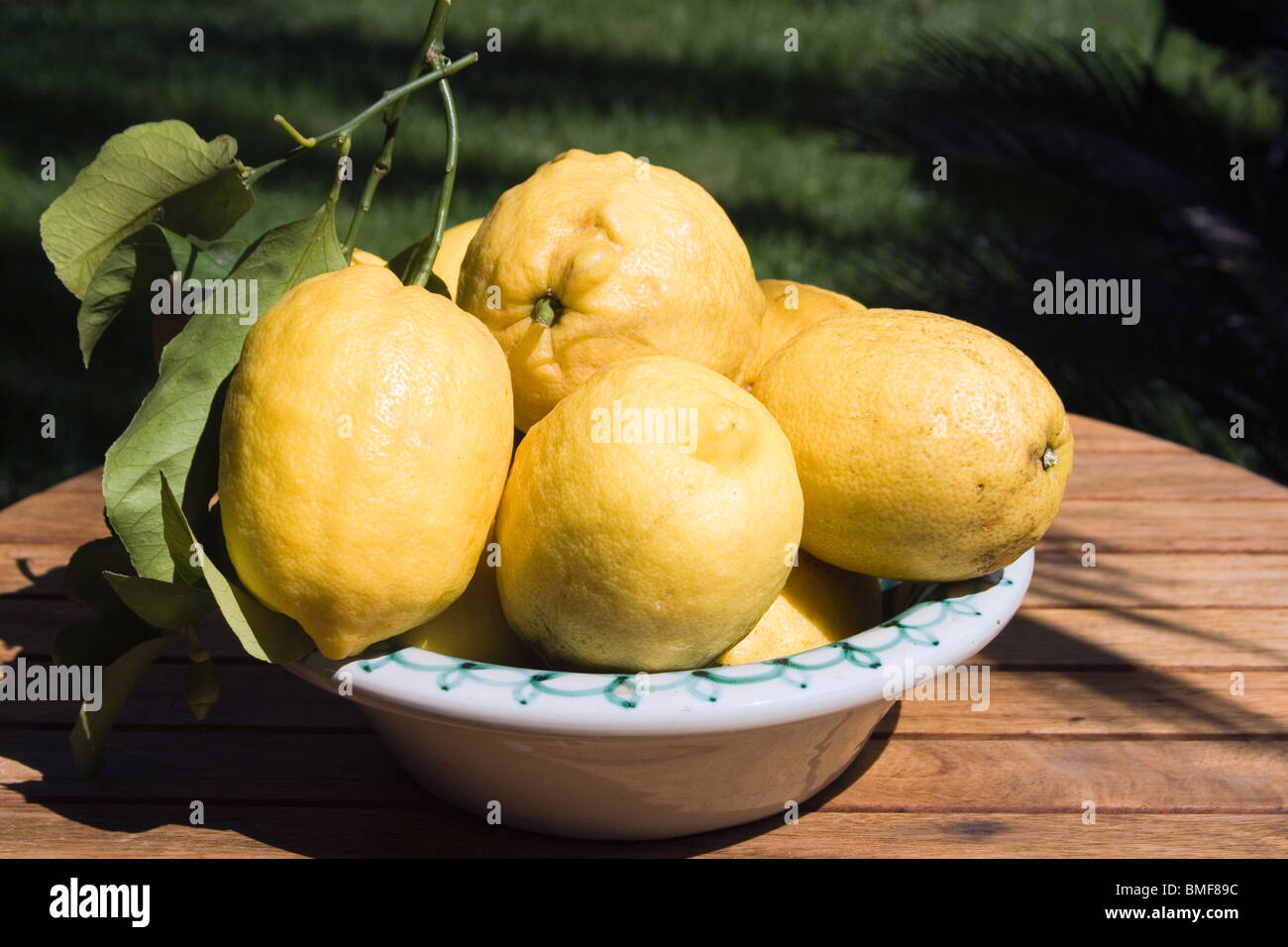 Ciotola di limoni su un tavolo di legno. Foto Stock