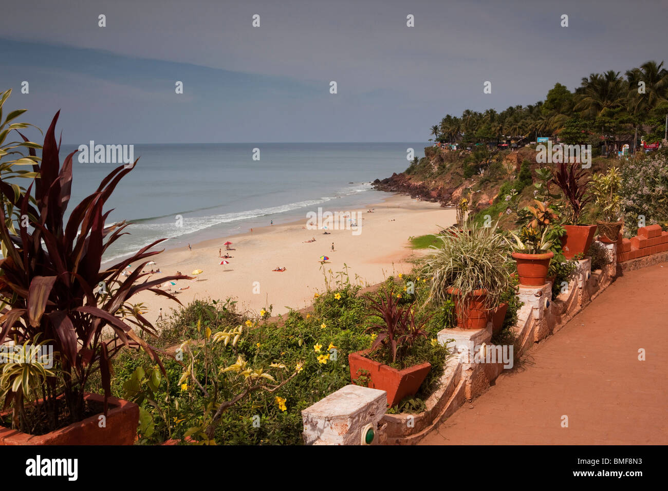 India Kerala, Varkala, clifftop piantare sopra la spiaggia Foto Stock