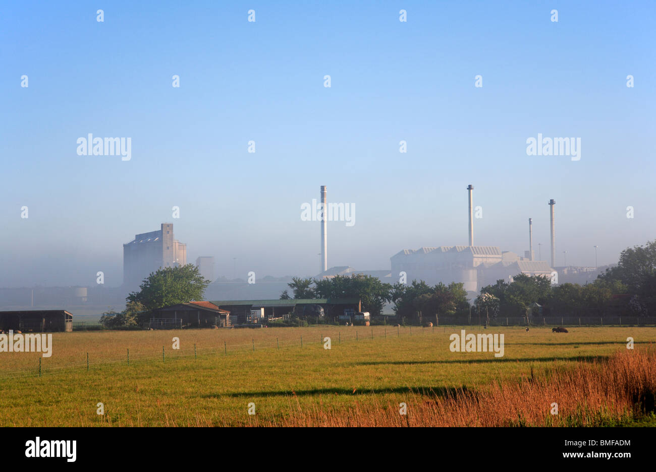 Una suggestiva vista del British Sugar factory a Cantley, Norfolk, Inghilterra, Regno Unito, visto attraverso la mattina presto nebbia. Foto Stock