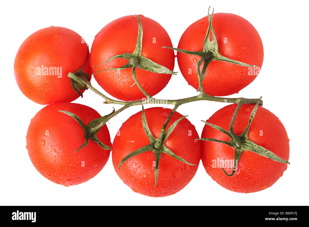 Mature pomodori ciliegia sulla vite isolati su sfondo bianco Foto Stock