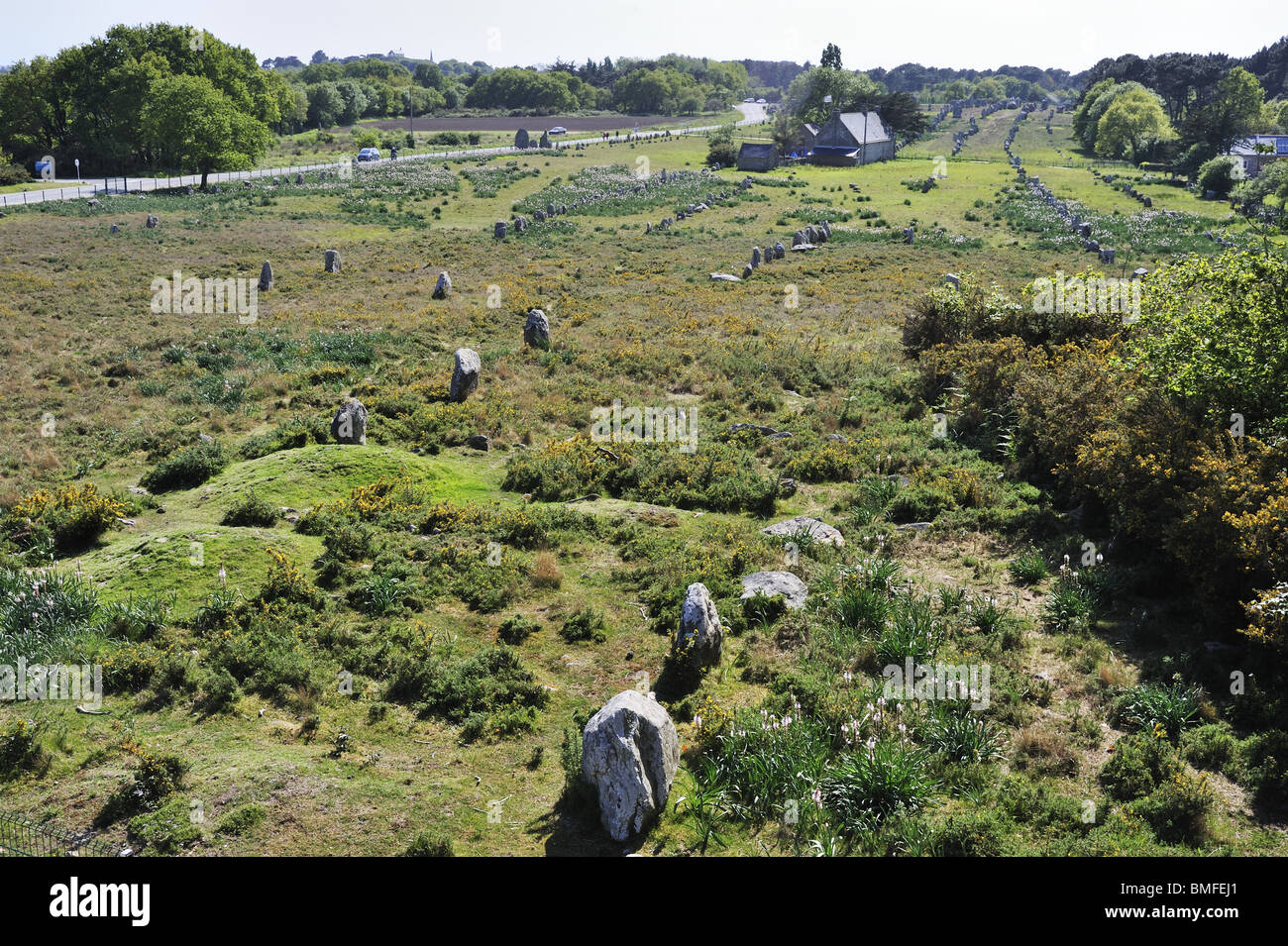 Linee di pietre permanente a Carnac, Brittany, Francia. Foto Stock