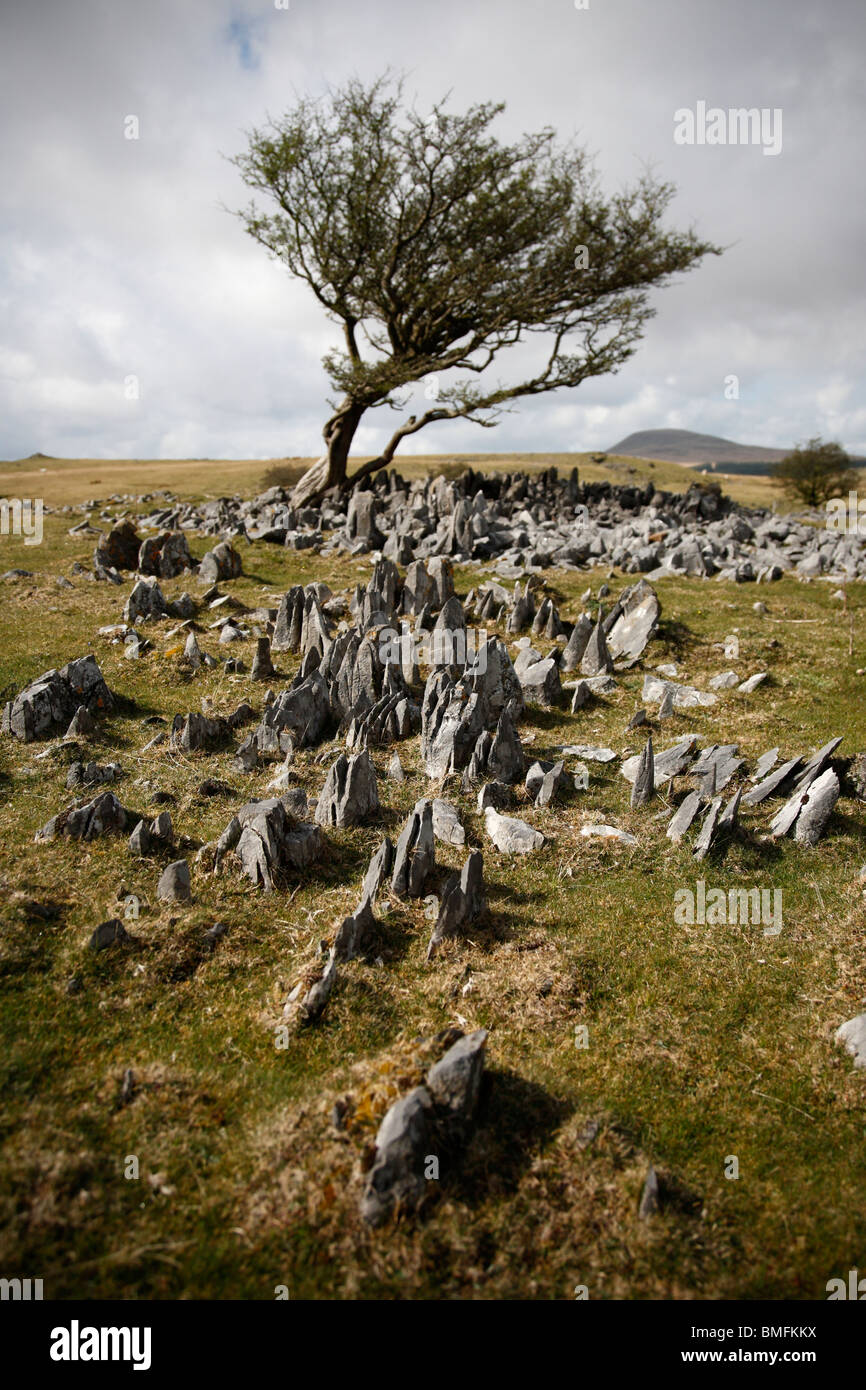 Struttura spazzate dal vento e calcare, Brecon Beacons, Wales, Regno Unito Foto Stock