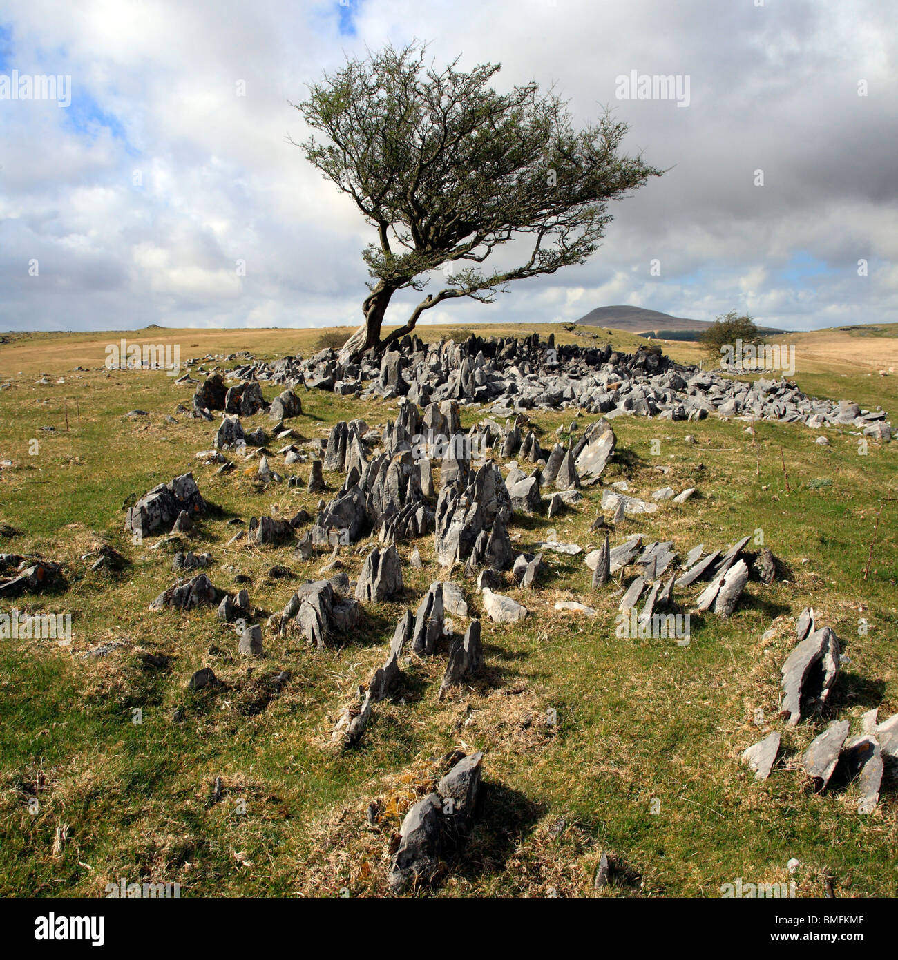 Struttura spazzate dal vento e calcare, Brecon Beacons, Wales, Regno Unito Foto Stock
