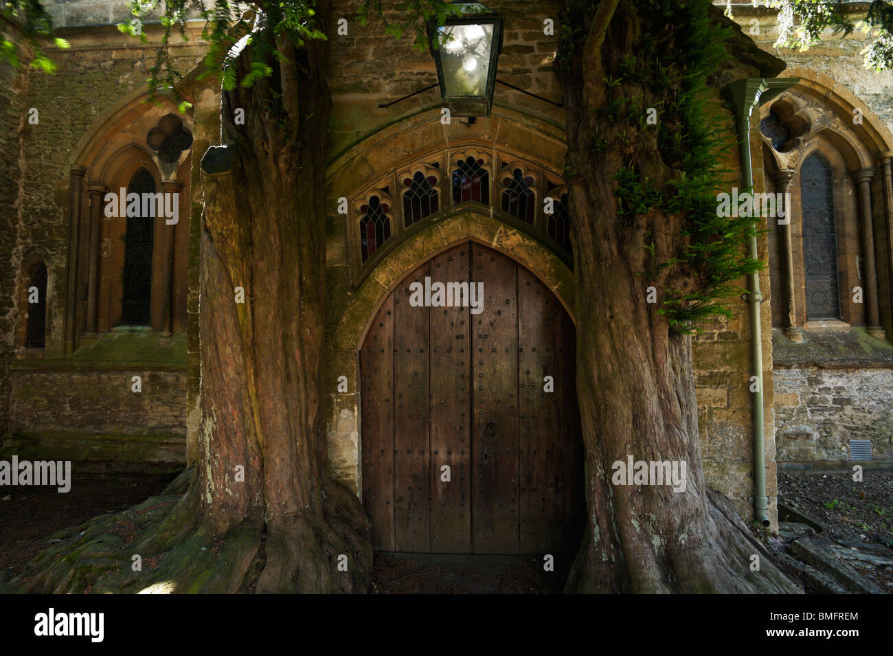 Antica yew gli alberi hanno ormai diventato inseparabile con la porta nord presso la chiesa di St Edward, Stow-su-il-Wold, Gloucestershire Foto Stock