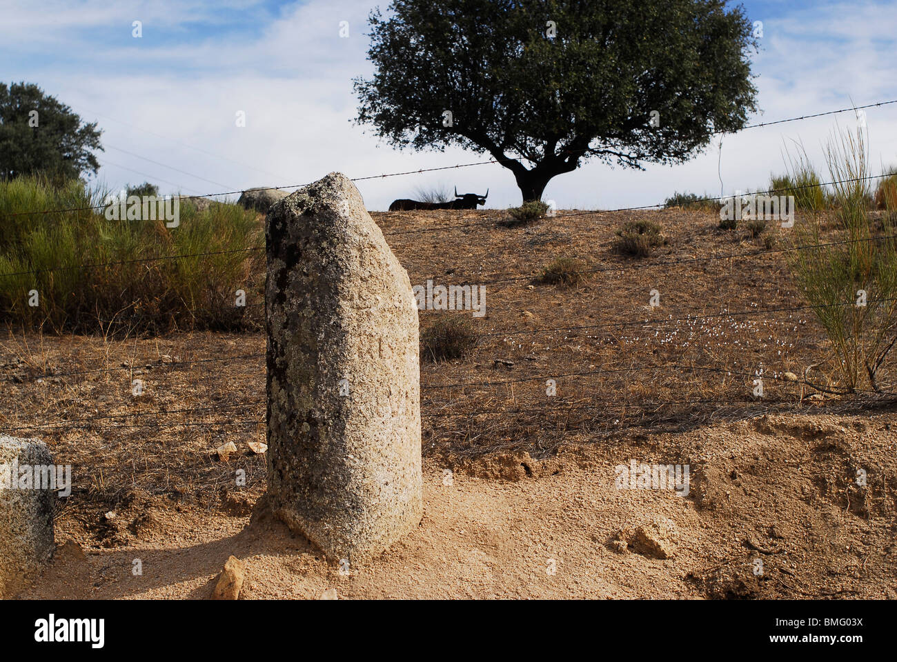 Miliario romano, provincia de Caceres. Estremadura, España. Miliare romano nella provincia di Cáceres, regione Estremadura, Spagna Foto Stock