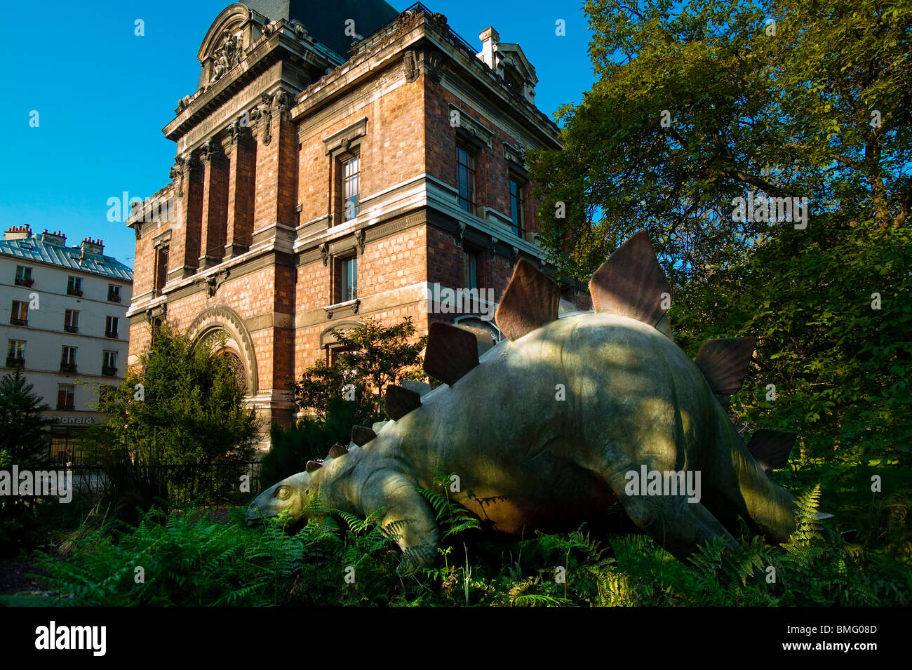 Museo di Paleontologia, Jardin des Plantes, Parigi, Francia Foto Stock
