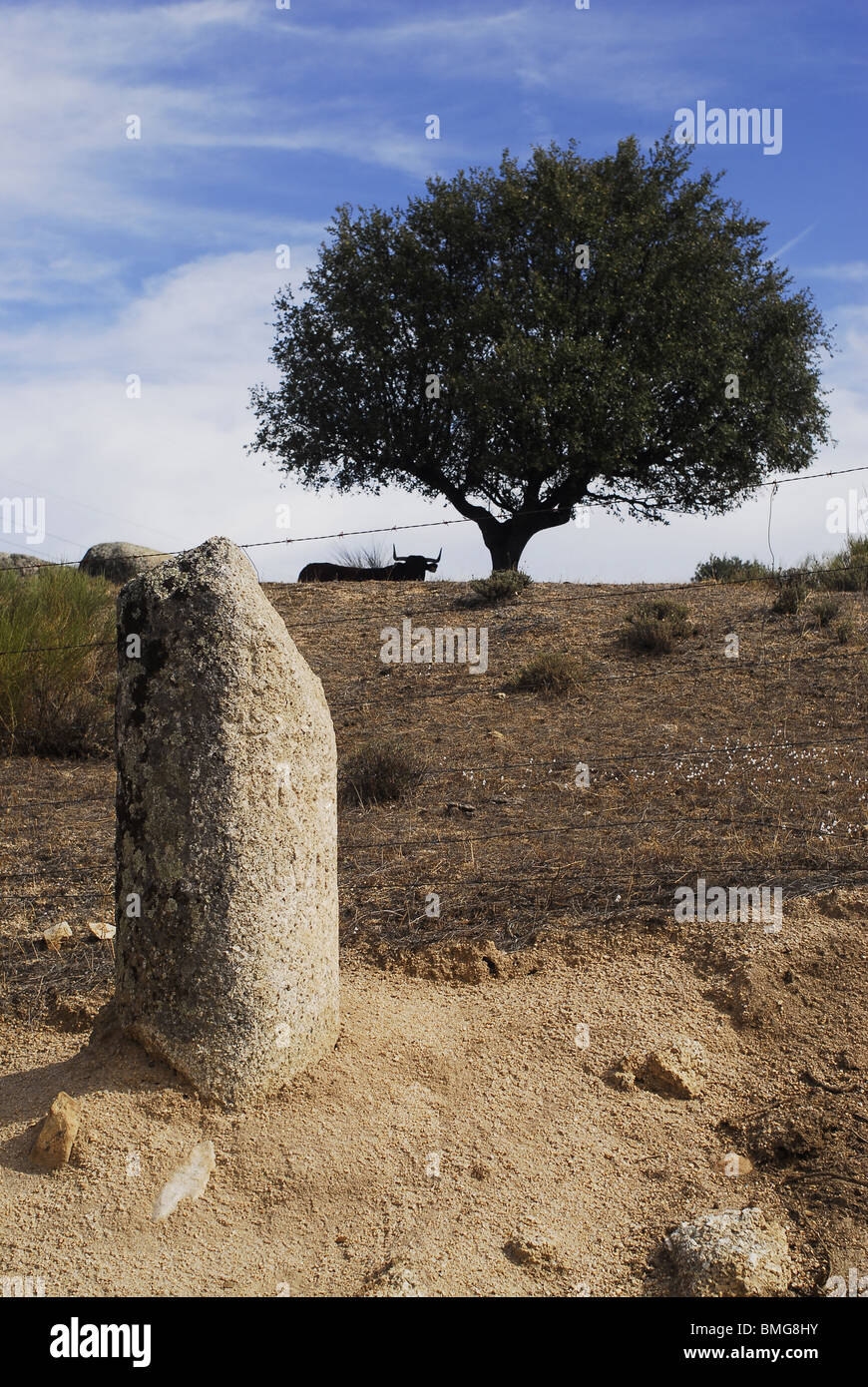 Miliario romano , provincia de Caceres. Estremadura, España. Miliare romano nella provincia di Cáceres, regione Estremadura, Spagna Foto Stock