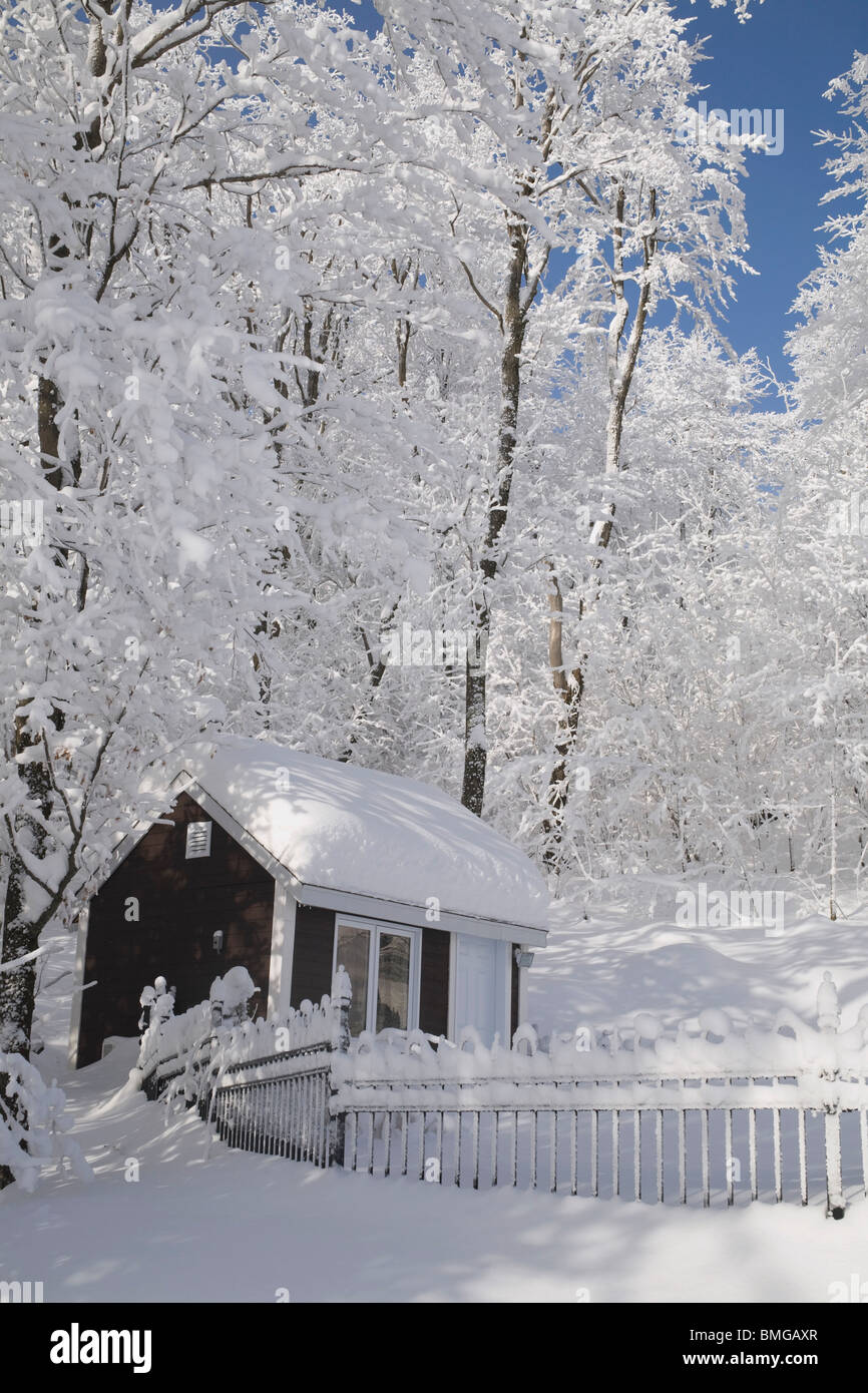 Una casa, recinzioni e gli alberi coperti di neve Foto Stock