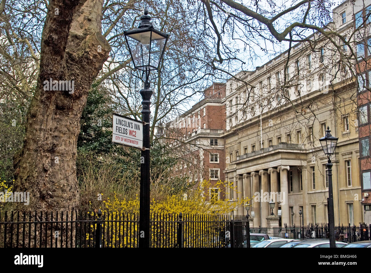 Lincolns Inn Fields, City of Westminster, Londra, Regno Unito Foto Stock