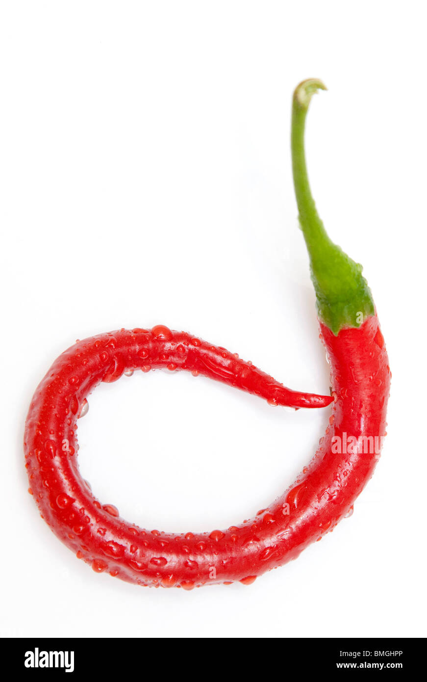 Un Rosso peperoncino jalapeno che ha arricciato Foto Stock