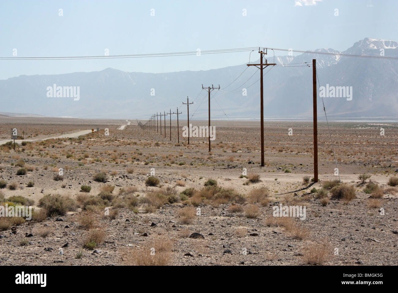 Linea di pali del telegrafo scomparendo in lontananza in un vasto deserto californiano Foto Stock