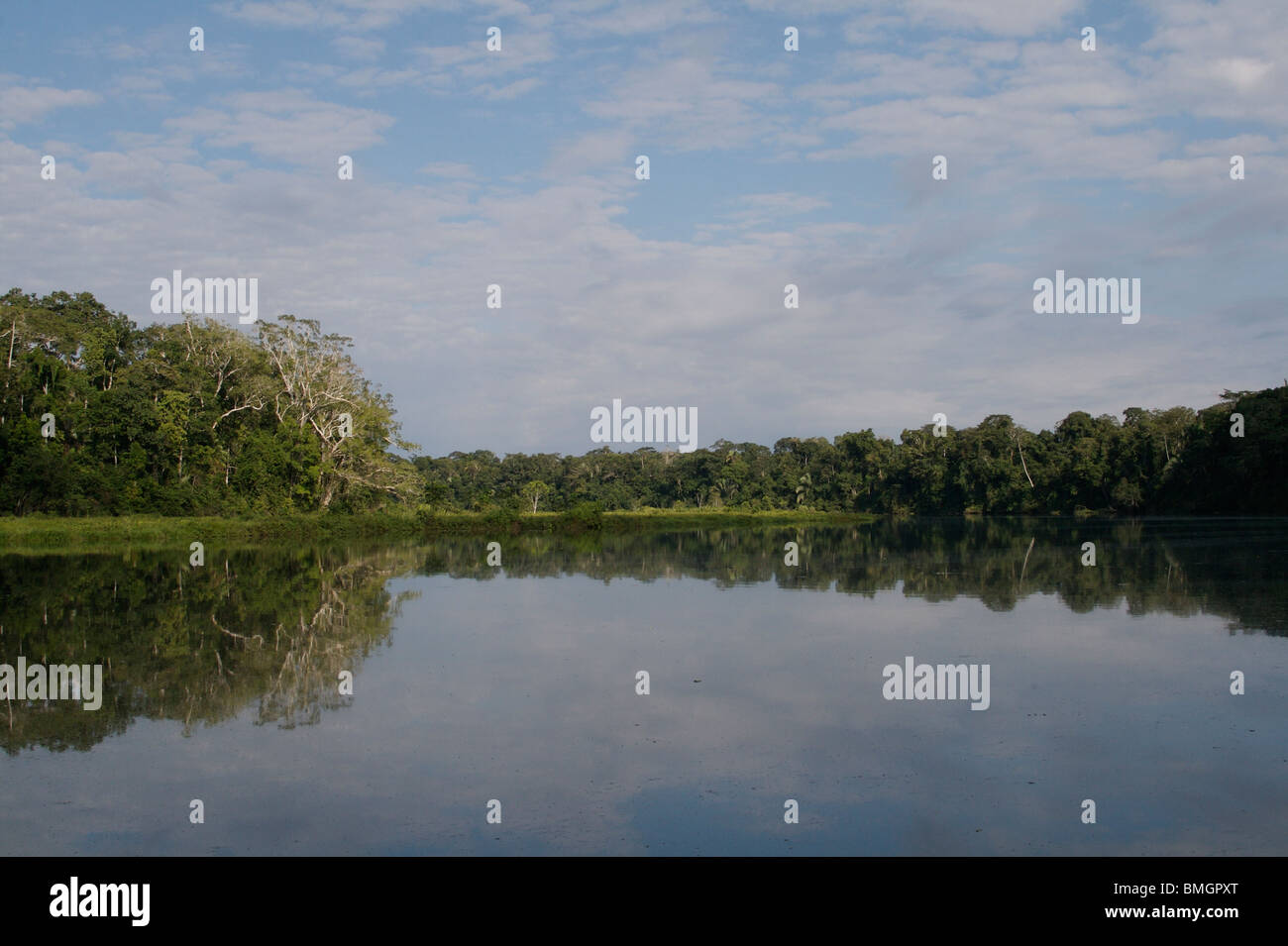 Ox-bow lake in Manu riserva naturale, Perù Foto Stock