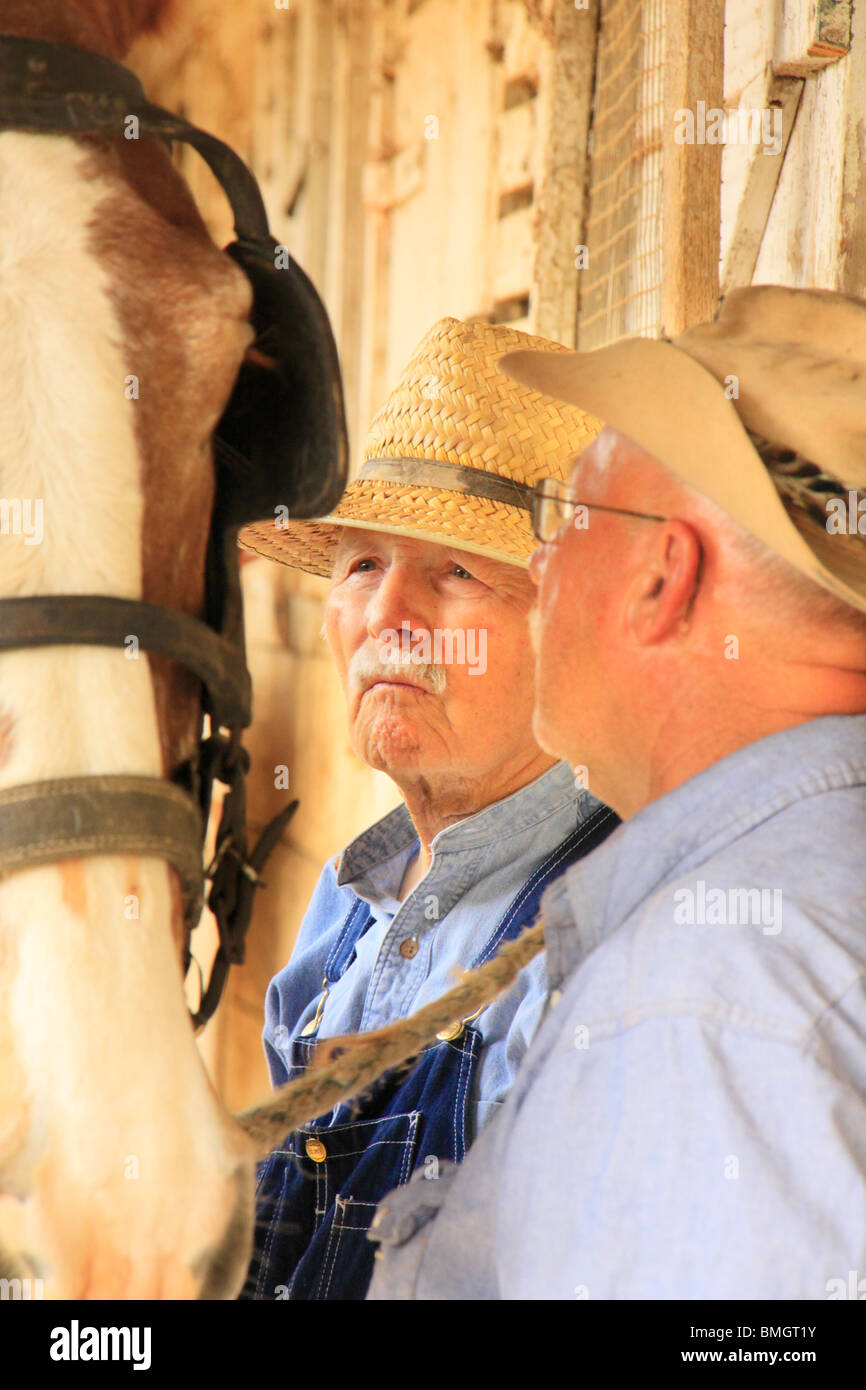 Charlie e John Lindsay con percheron a Lindsay's Farm, Greencastle, Pennsylvania Foto Stock