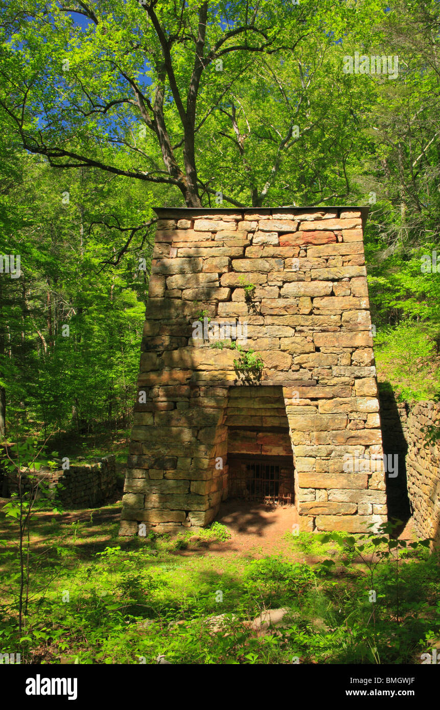 Ruggente correre forno, ruggente correre Area ricreativa, Eagle Rock, Virginia Foto Stock