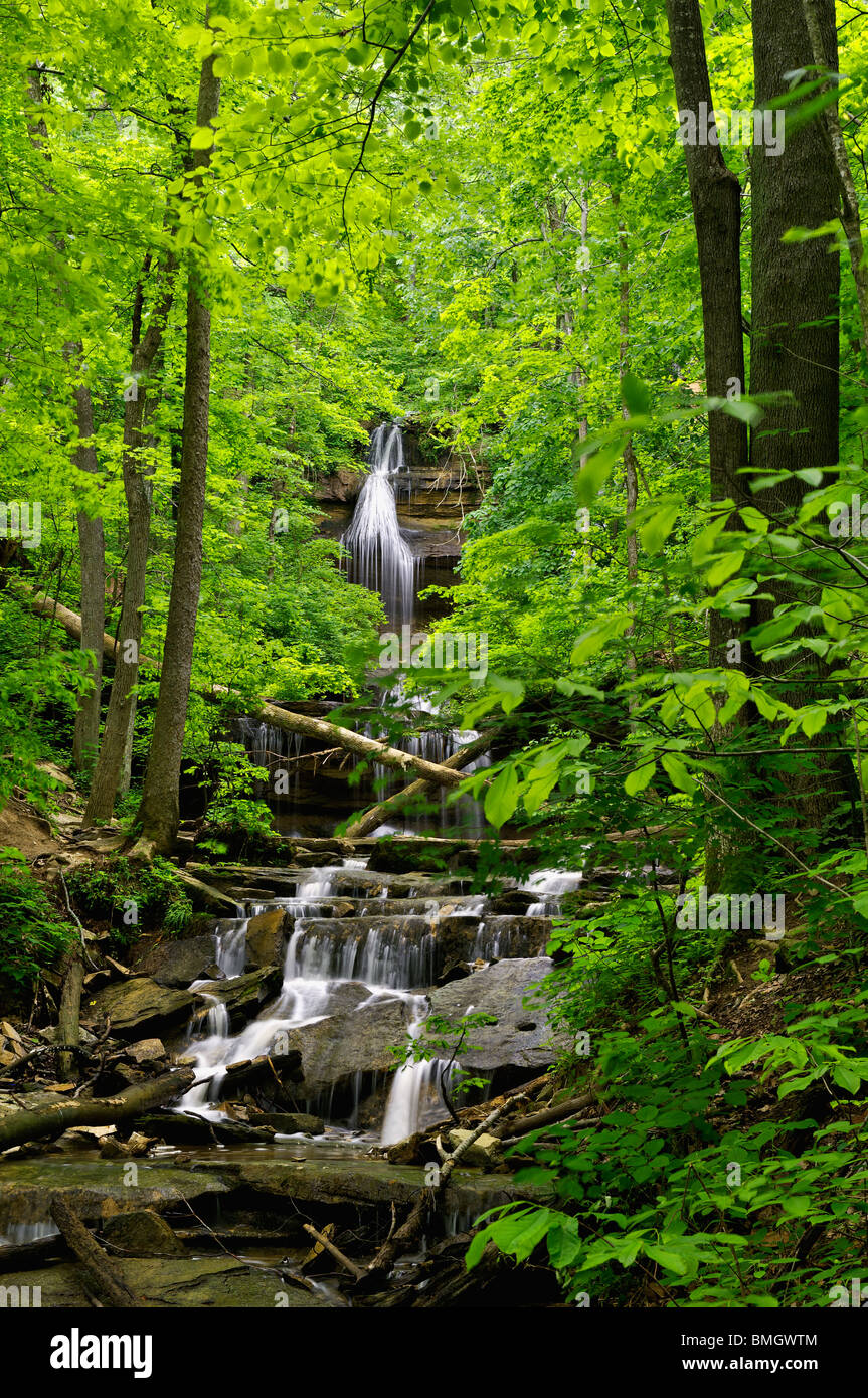 Tioga cade sulla Tioga Creek vicino a West Point, Kentucky Foto Stock