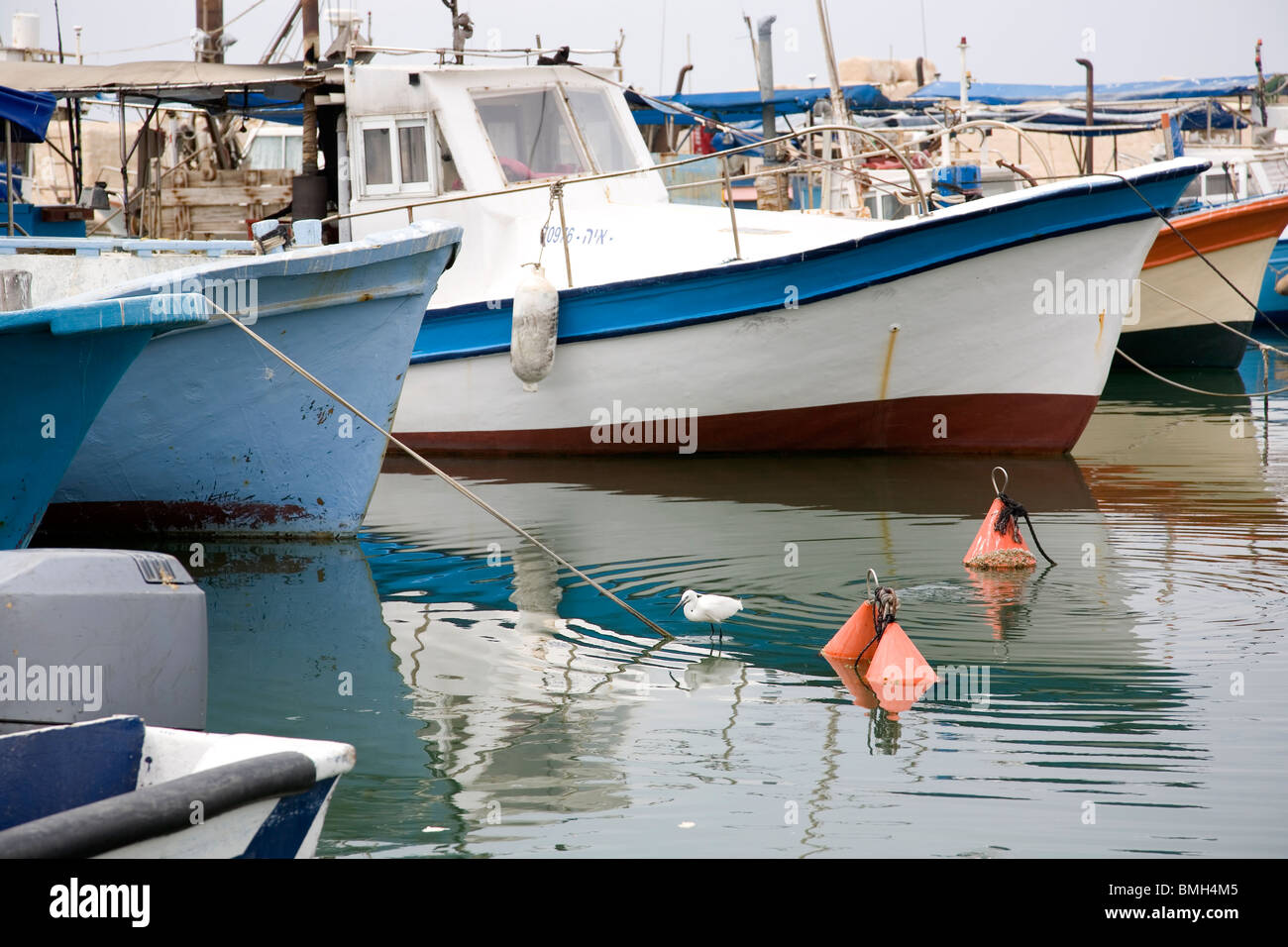 Vecchia Jaffa porto con barche, Garzetta in acqua - Tel Aviv - Israele Foto Stock