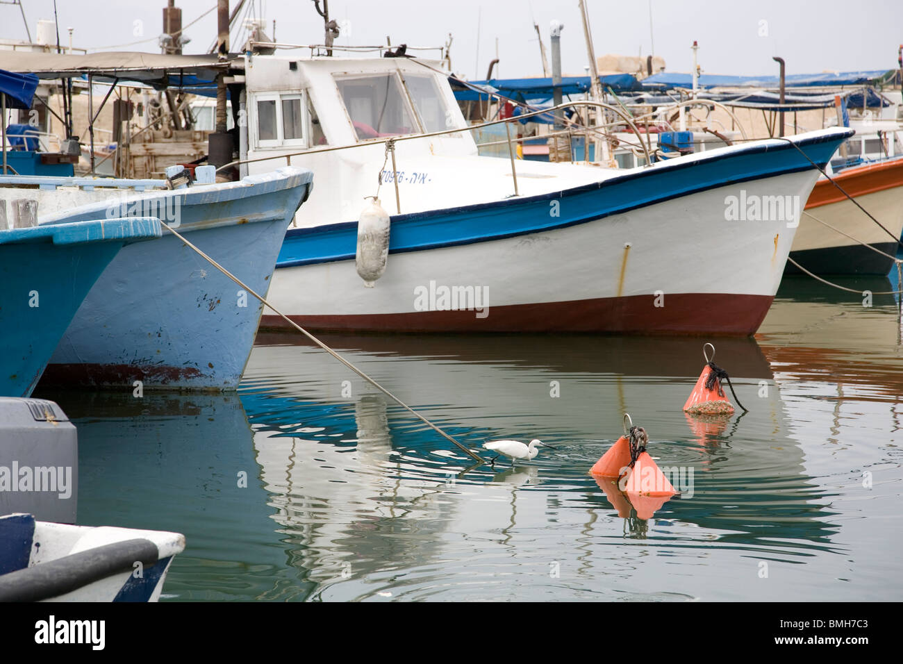 Vecchia Jaffa porto con barche, Garzetta in acqua - Tel Aviv - Israele Foto Stock