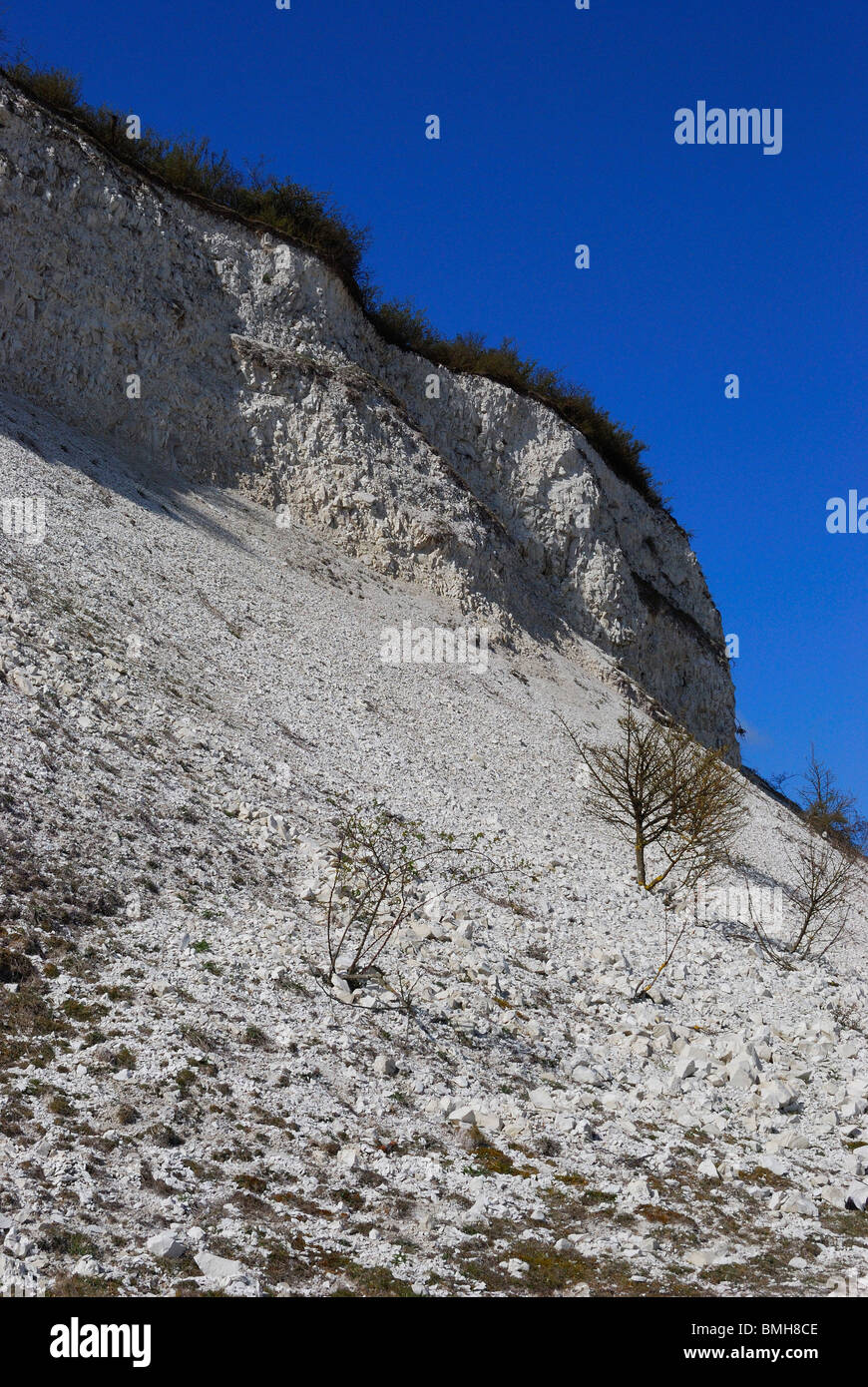 Scogliere calcaree di una cava Foto Stock