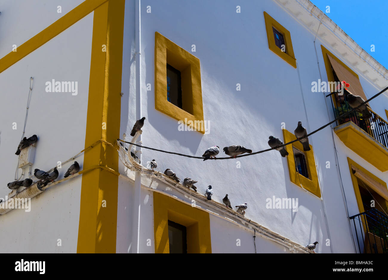 Piccioni in appoggio sulla linea telefonica al di fuori di discolpare edificio in Ibiza, Spagna Foto Stock