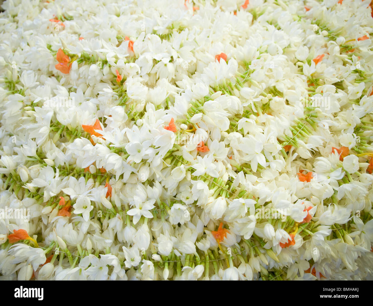 Ghirlande di dolci profumati fiori di gelsomino InIndia Foto Stock