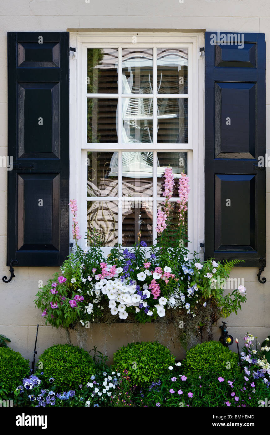 Dettaglio della finestra e fiori di casa storica a Charleston, Carolina del Sud Foto Stock