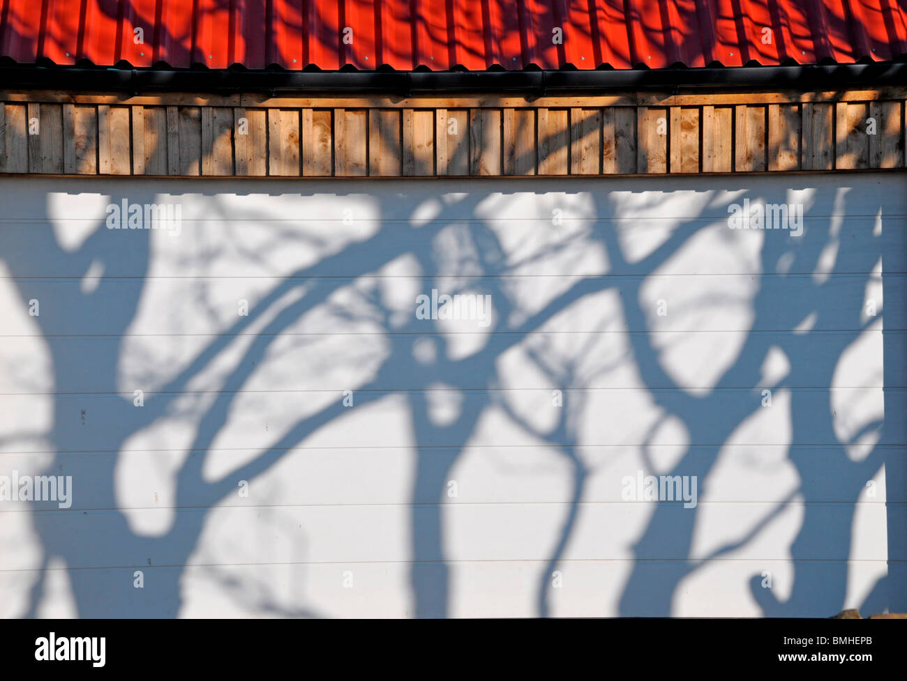 Le ombre degli alberi colato su un dipinto di bianco di porta di garage. Foto Stock
