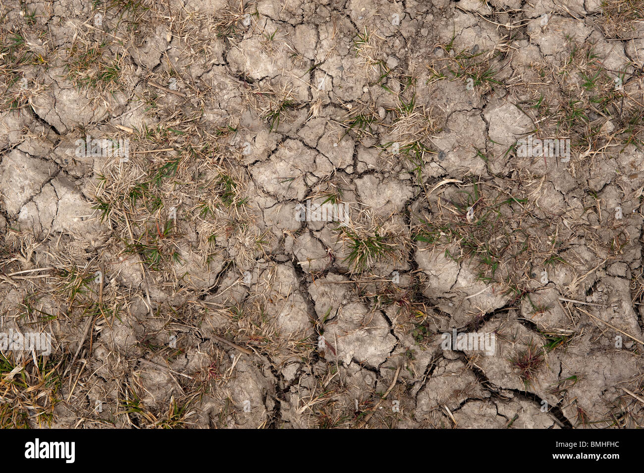 Arido terreno con crepe a causa di una mancanza di acqua. Foto Stock