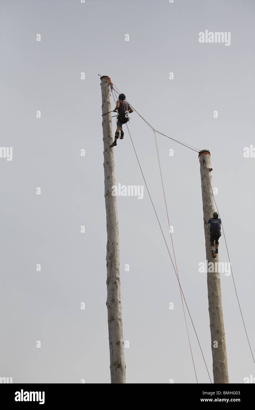 Woodfest Wales, St Asaph, Denbighshire, Giugno 2010. I concorrenti nel polo arrampicata. Foto Stock