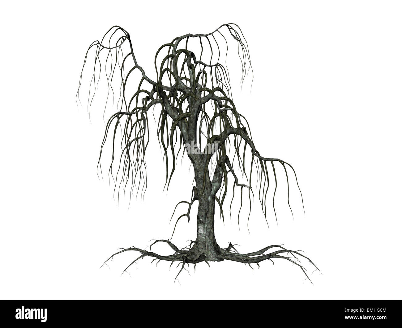 Illustrazione di un creepy tree, isolata contro uno sfondo bianco Foto Stock
