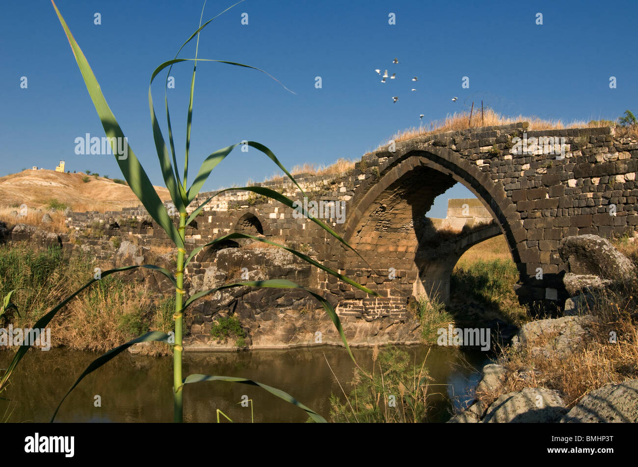 Jisr el-Majami o Jisr al-Mujamieh antico ponte di pietra, forse di origine romana, sul fiume Giordano al confine tra Israele e Giordania Foto Stock