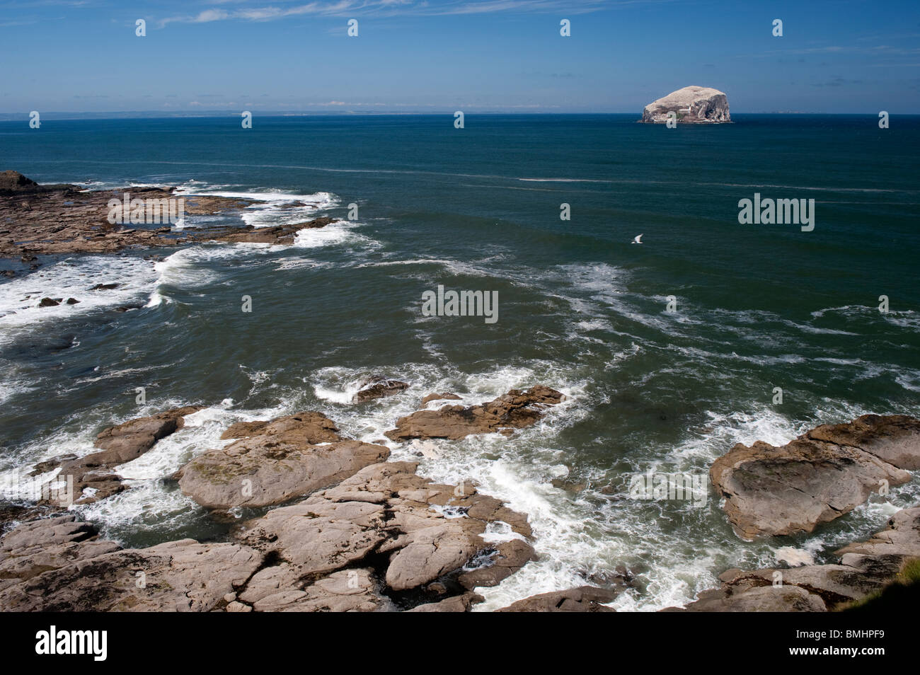 Bass Rock dal castello di Tantallon, North Berwick, Scozia Foto Stock