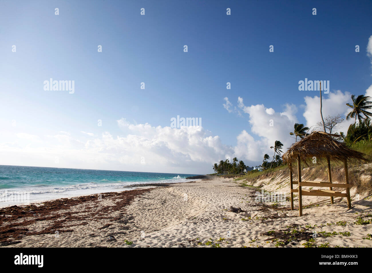 Una bella ventoso, ma sunny beach con una capanna di erba e palme sulla speranza comune, gomito Cay in Abacos, Bahamas. Foto Stock