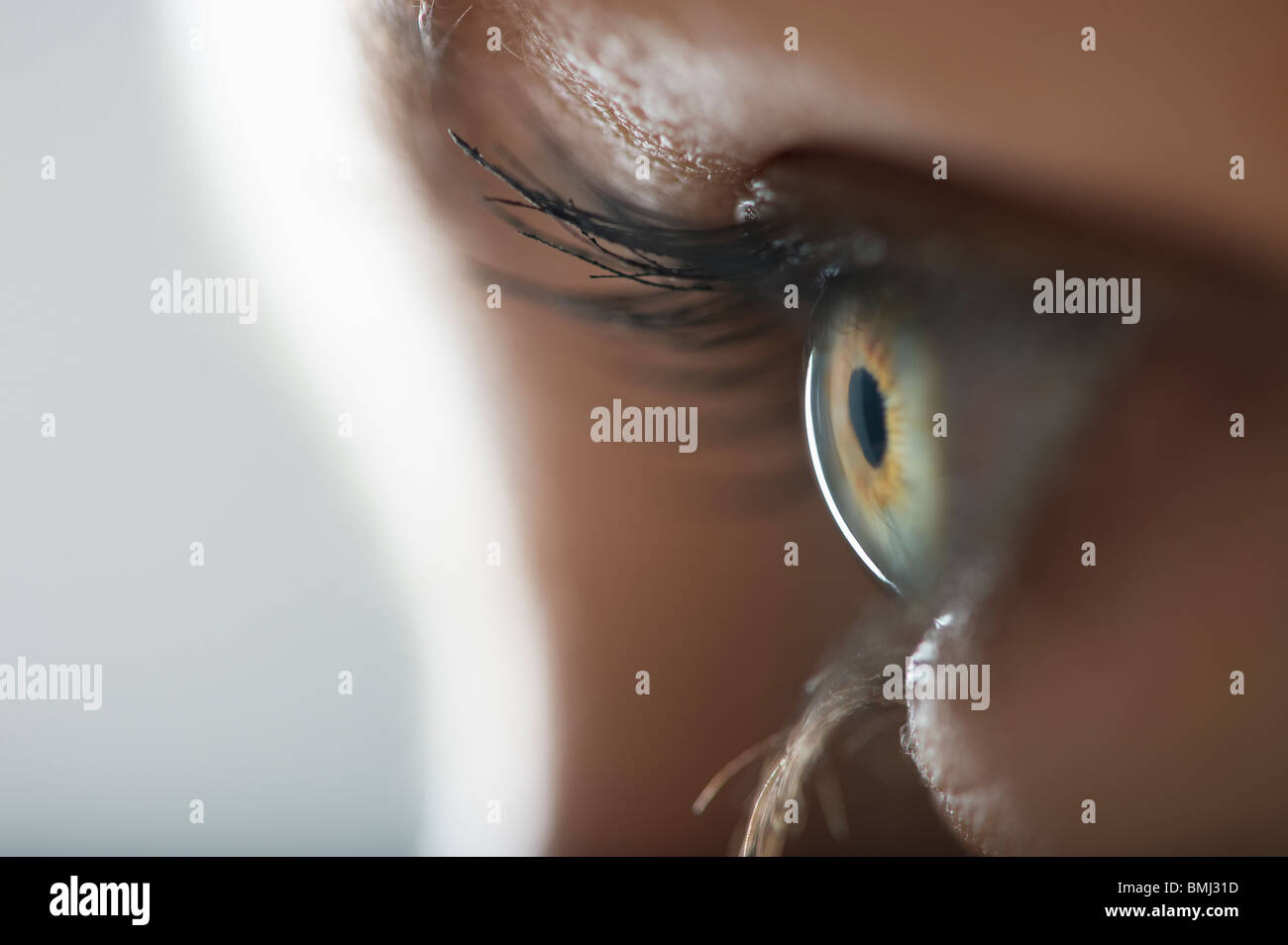 Occhio della donna Foto Stock