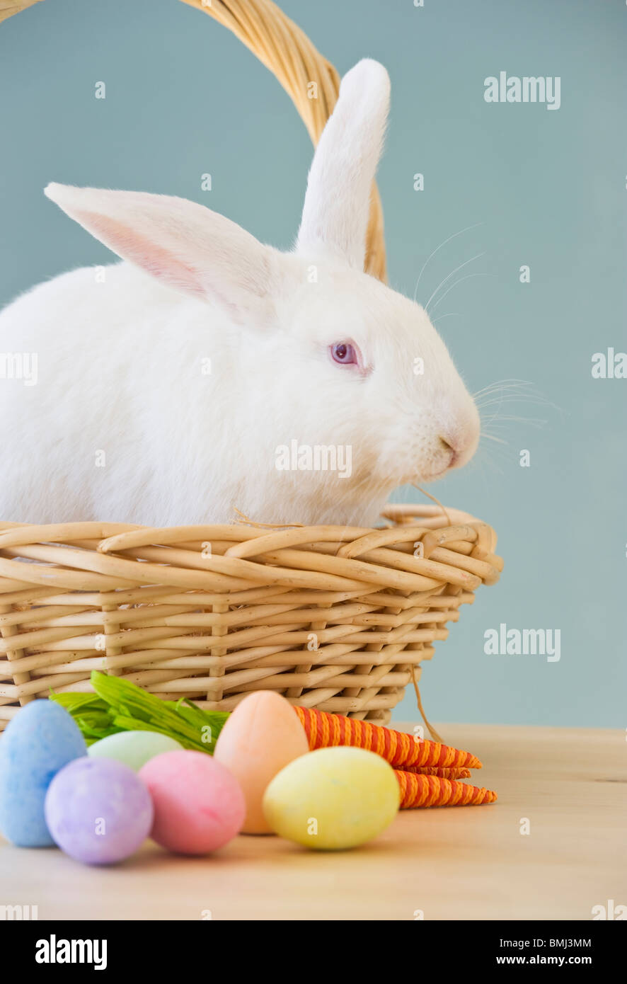 Coniglio in cesto di Pasqua Foto Stock