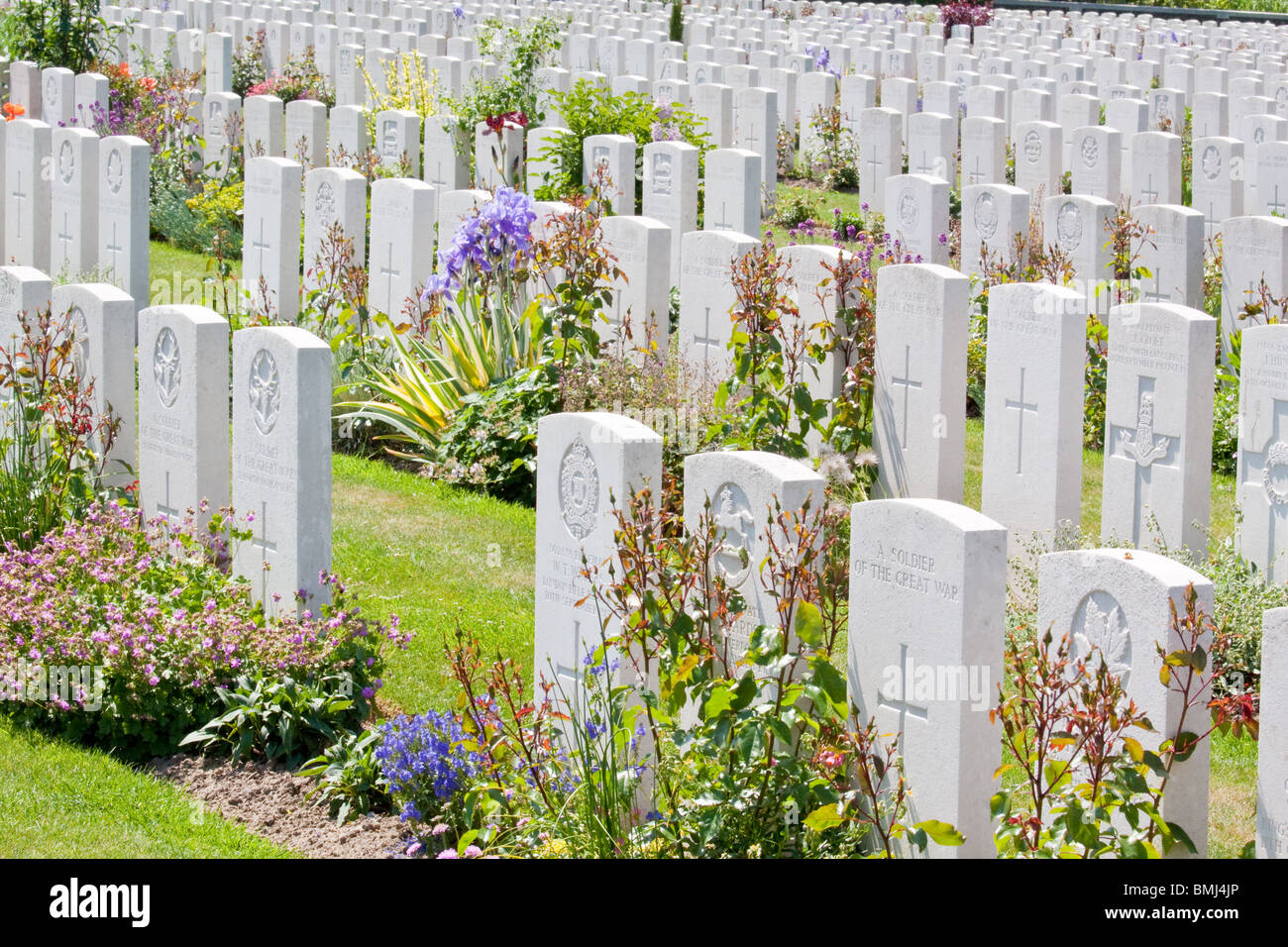 War Graves al Tyne Cot cimitero vicino Passchendaele Belgio Foto Stock