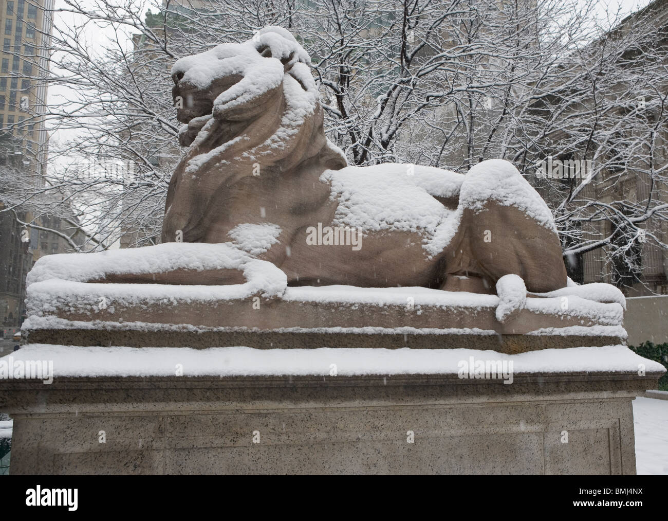 Lion scultura ricoperta di neve Foto Stock