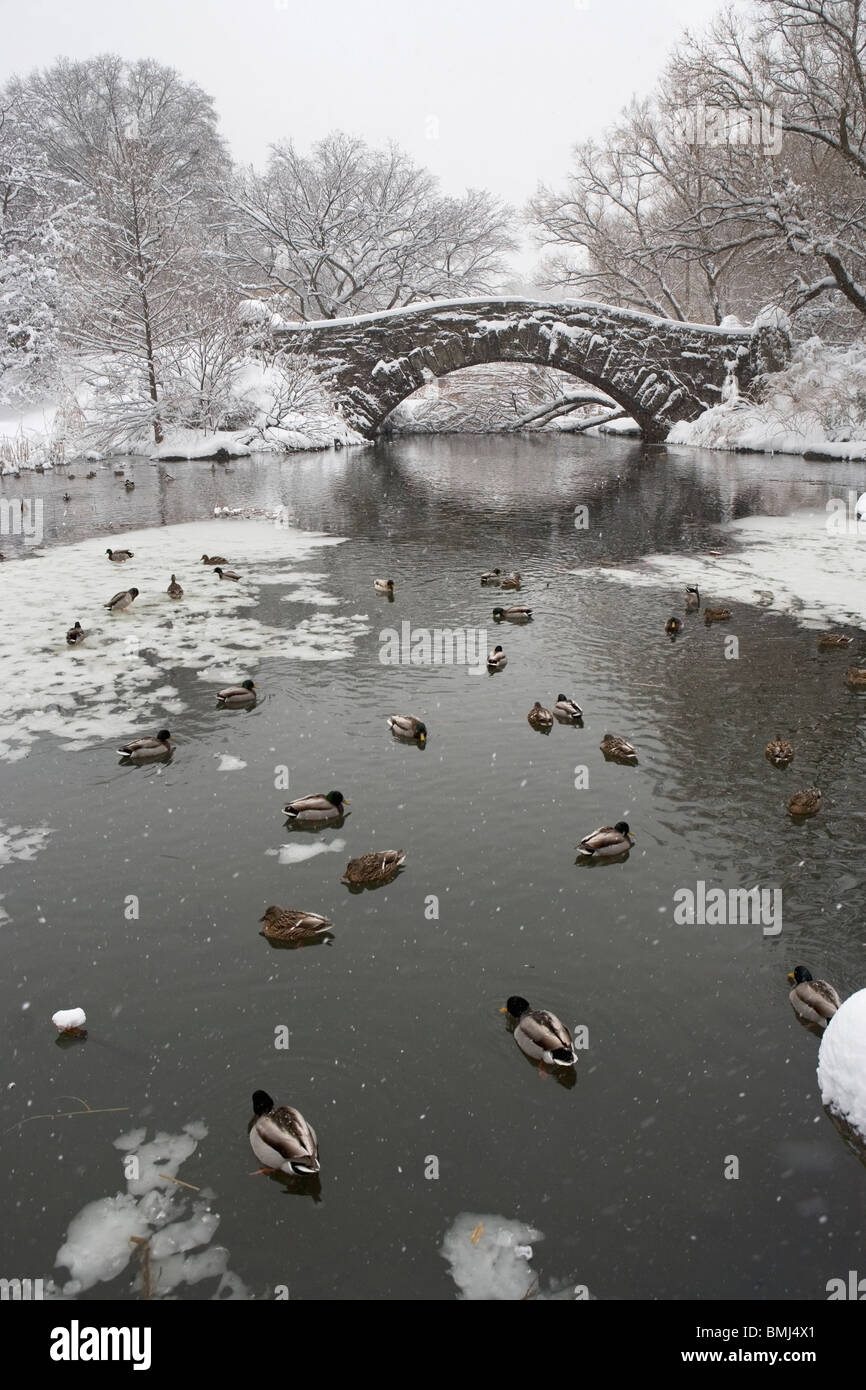 Il lago e il ponte in inverno Foto Stock