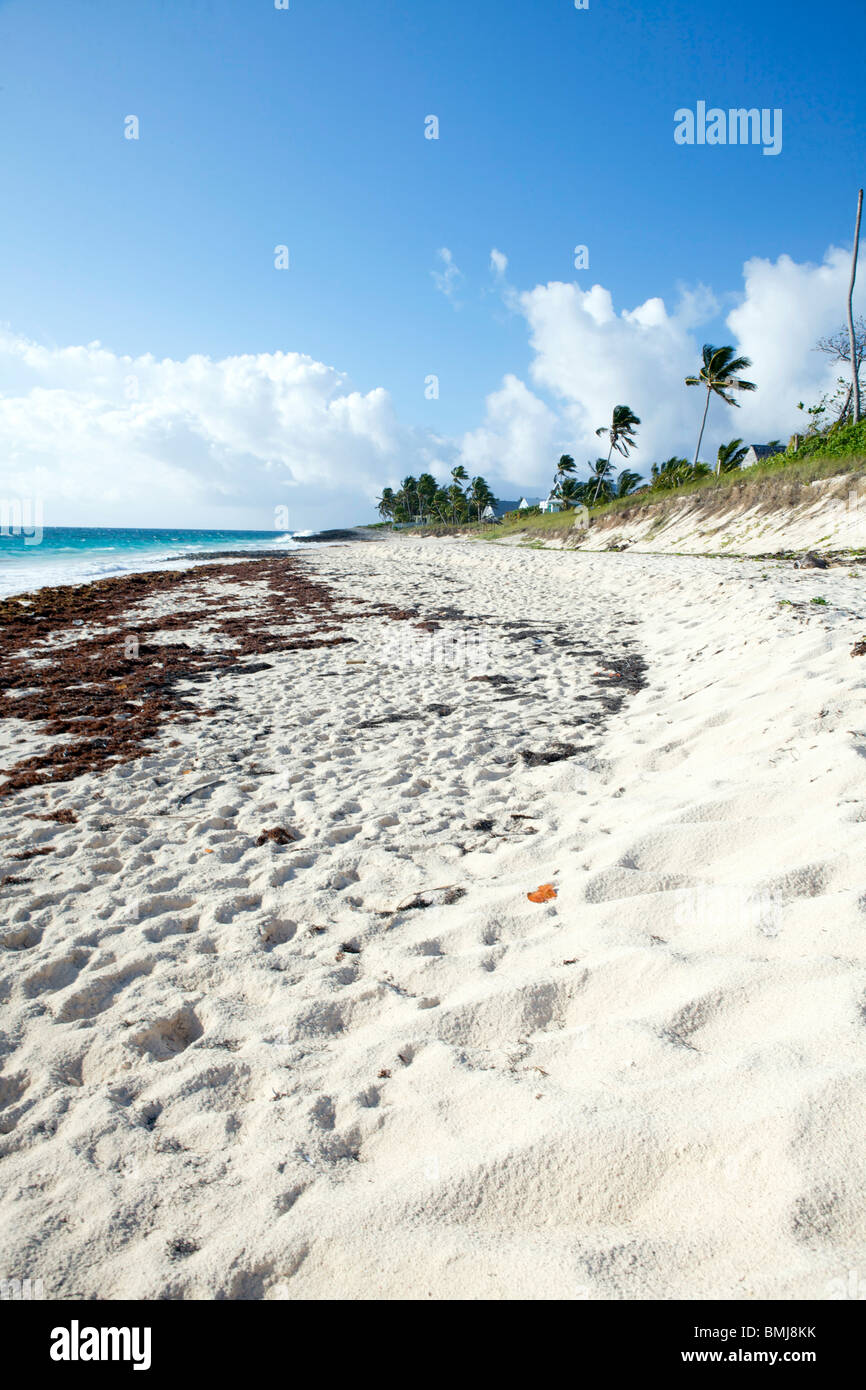 Una bella e soleggiata spiaggia con palme sulla speranza comune, gomito Cay in Abacos, Bahamas. Foto Stock