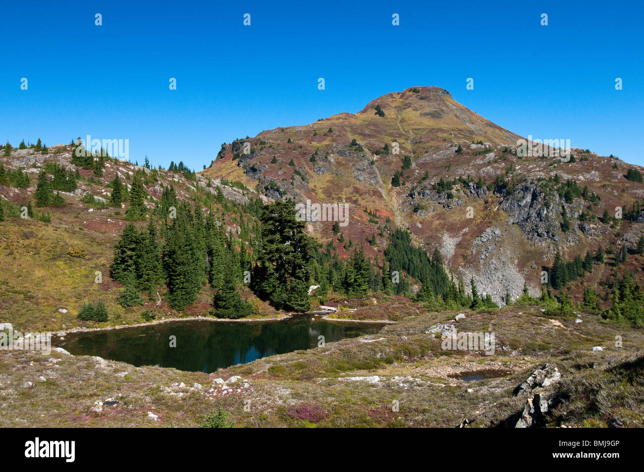 Giallo Aster Butte e tarn, Mount Baker-Snoqualmie National Forest, Cascade Mountains, Washington. Foto Stock