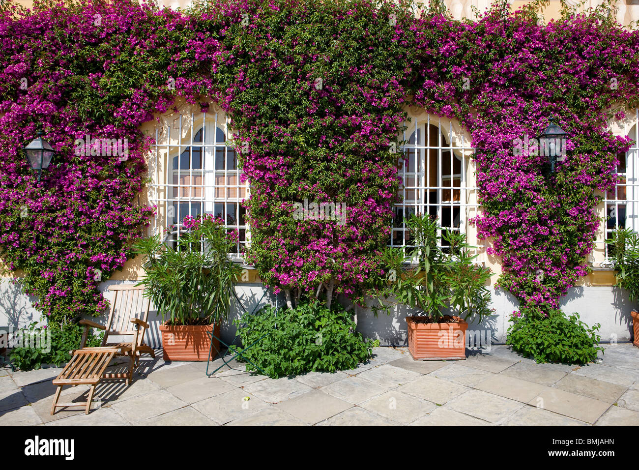 In Italia, la Liguria, la facciata della casa con fiori, bouganville e windows Foto Stock