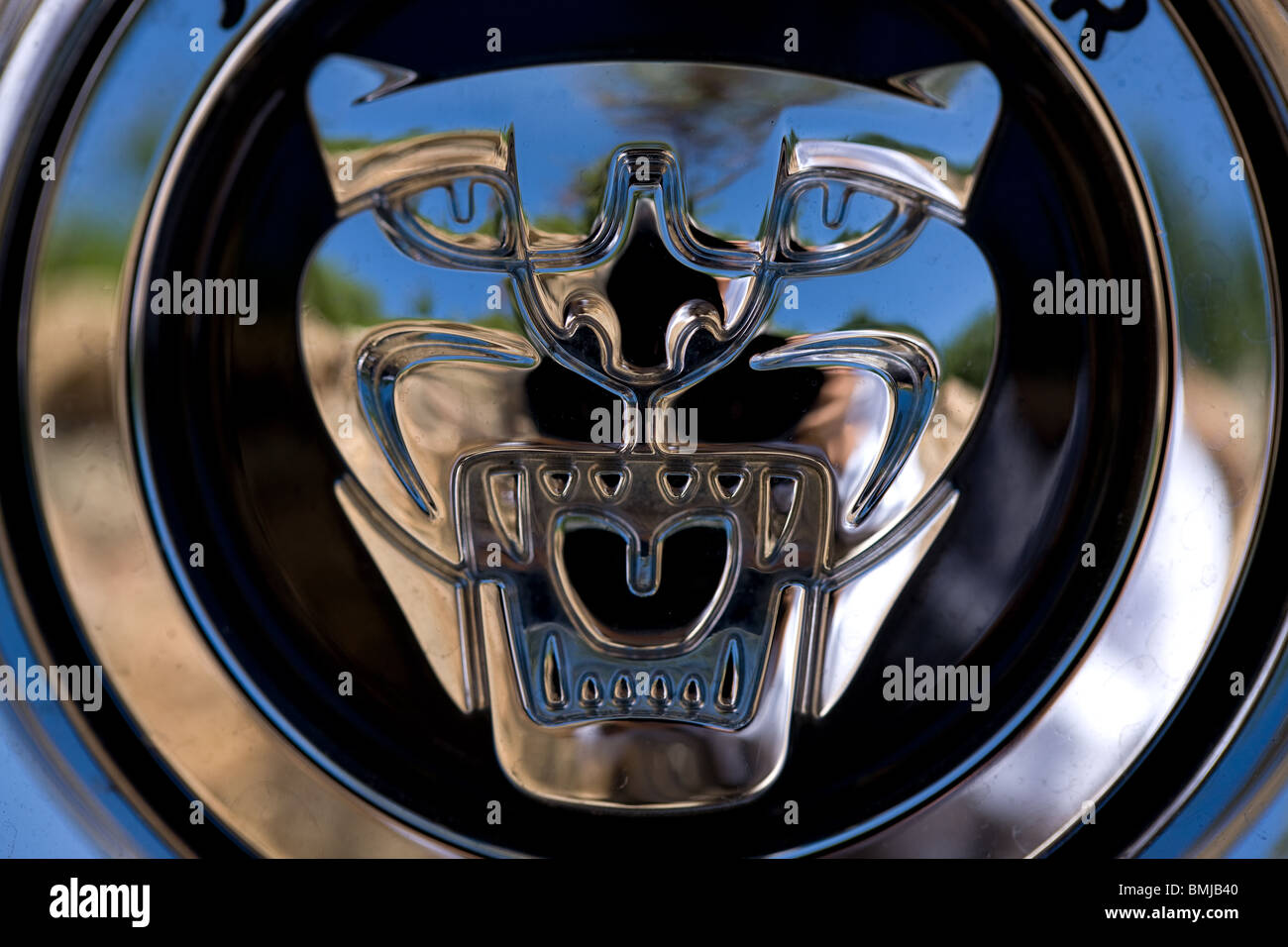 Emblema di Jaguar Foto Stock