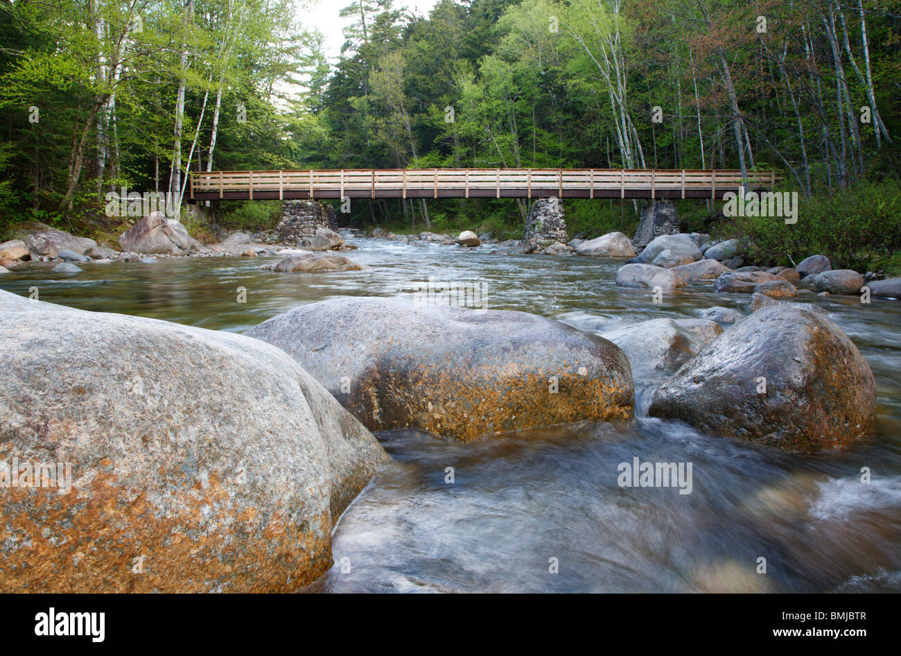 Passerella pedonale lungo il Lincoln Woods Trail, che attraversa Franconia Brook, nelle White Mountains, New Hampshire USA. Foto Stock