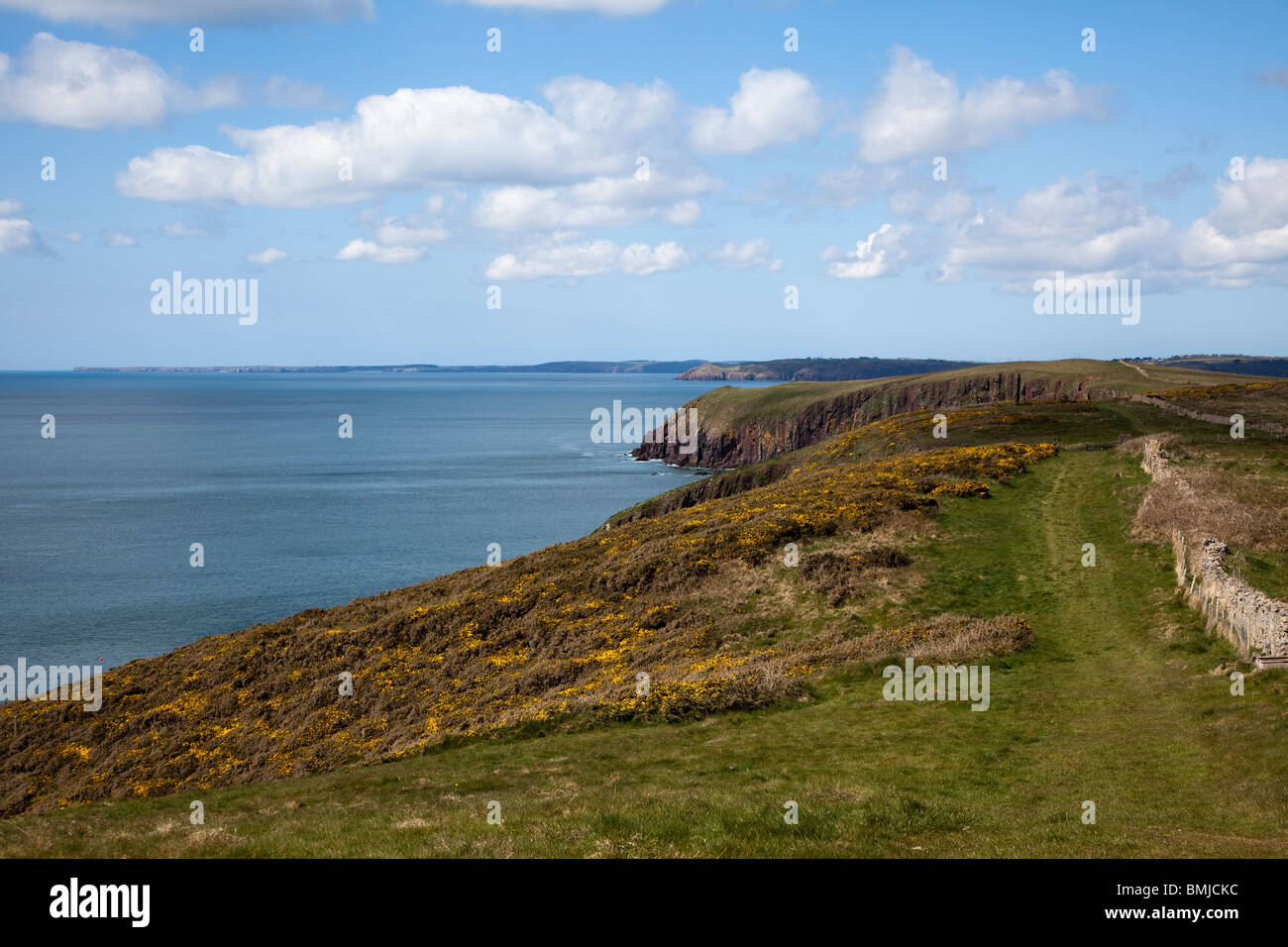 Il sentiero costiero, isola di Caldey, Wales, Regno Unito Foto Stock