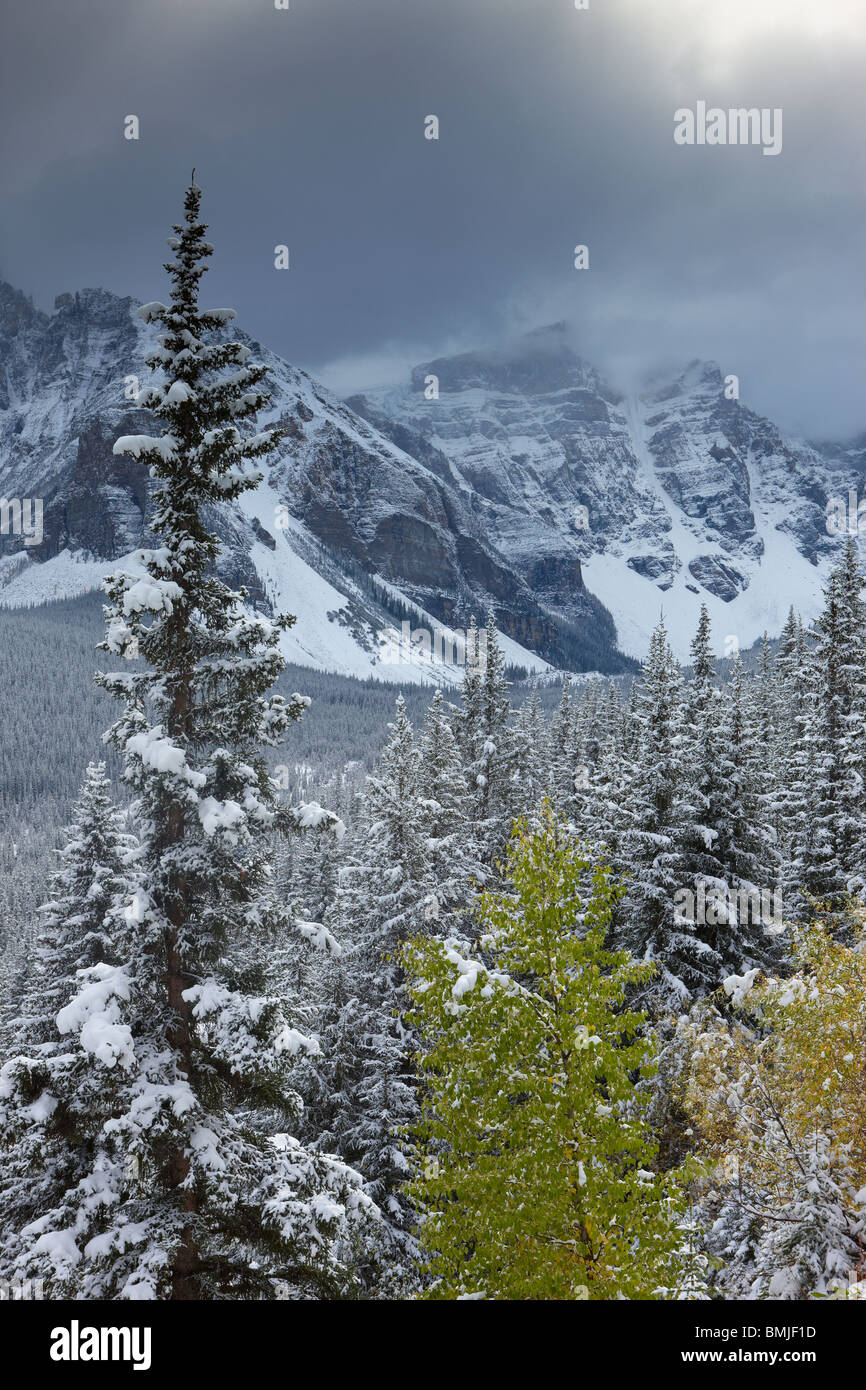Una leggera nevicata fresca nella Valle dei Dieci Picchi, il Parco Nazionale di Banff, Alberta, Canada Foto Stock