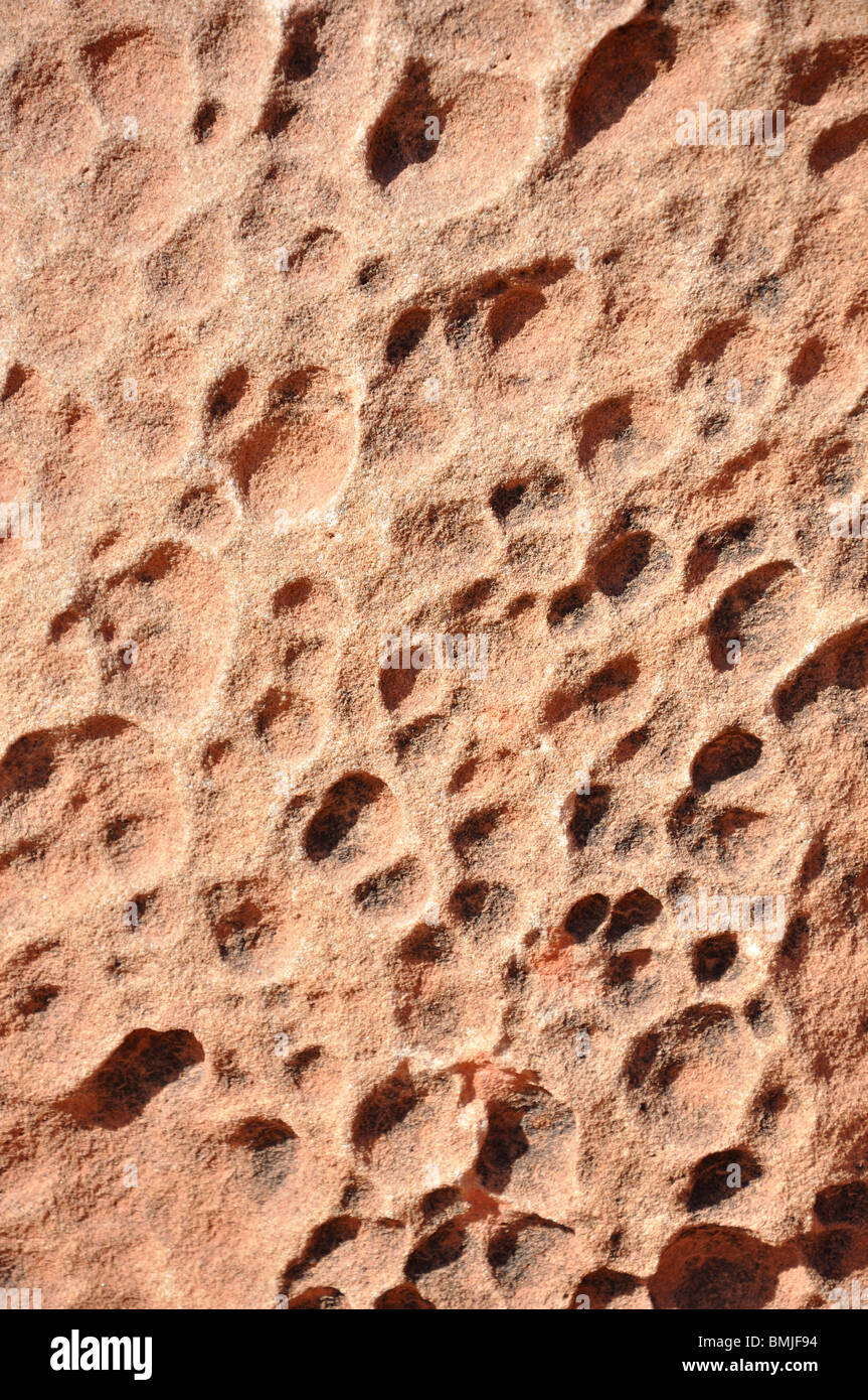 Rock closeup, Arches National Park, Utah, Stati Uniti d'America Foto Stock