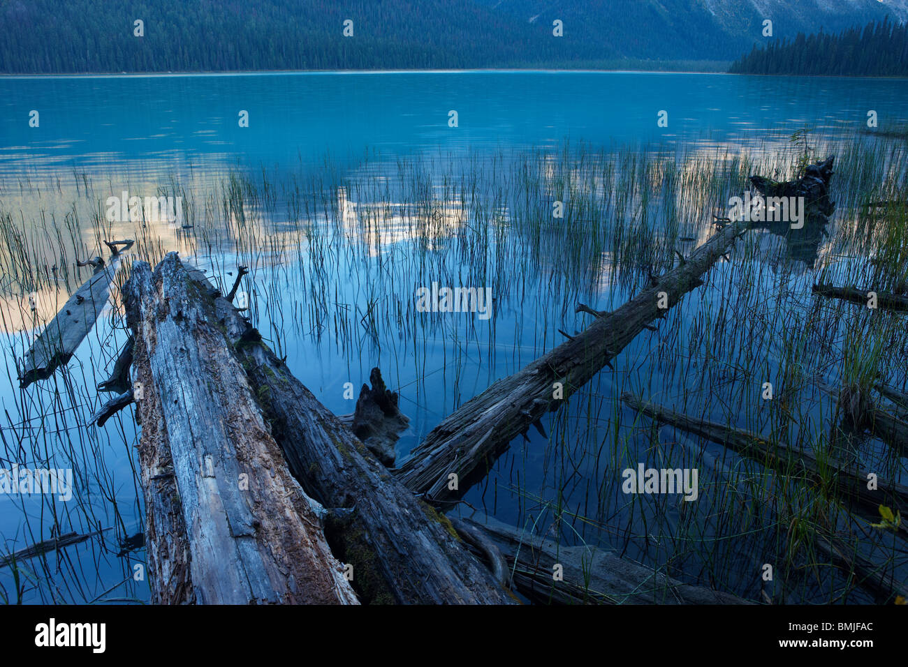 Il Lago di Smeraldo all'alba, Parco Nazionale di Yoho, British Columbia, Canada Foto Stock