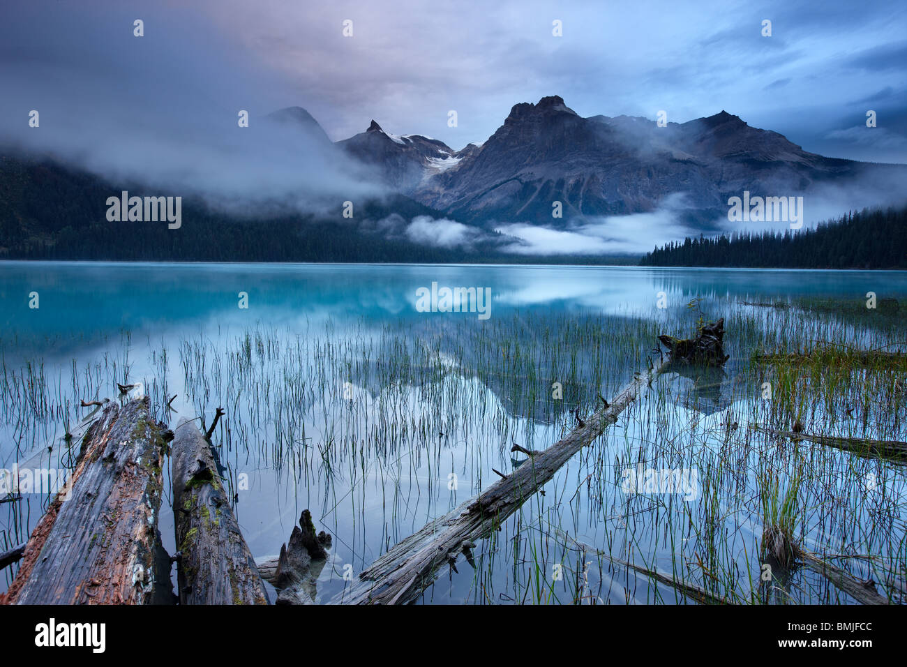 Il Lago di Smeraldo all'alba con i picchi del Presidente vanno ben oltre, Parco Nazionale di Yoho, British Columbia, Canada Foto Stock