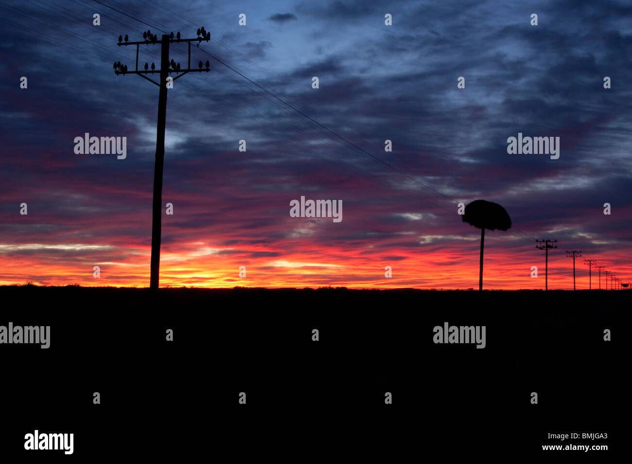 La mattina presto in Upington, Sud Africa, sulla strada per la Namibia. Questa è stata presa direttamente dalla fotocamera, non photoshop Foto Stock